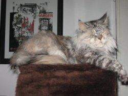 alice_06a.jpg