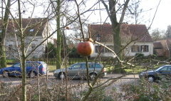 luebars_02a.jpg